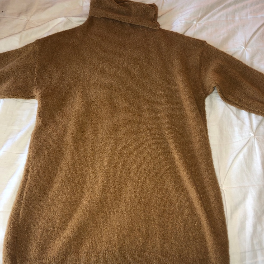 Brass Plum turtleneck dress